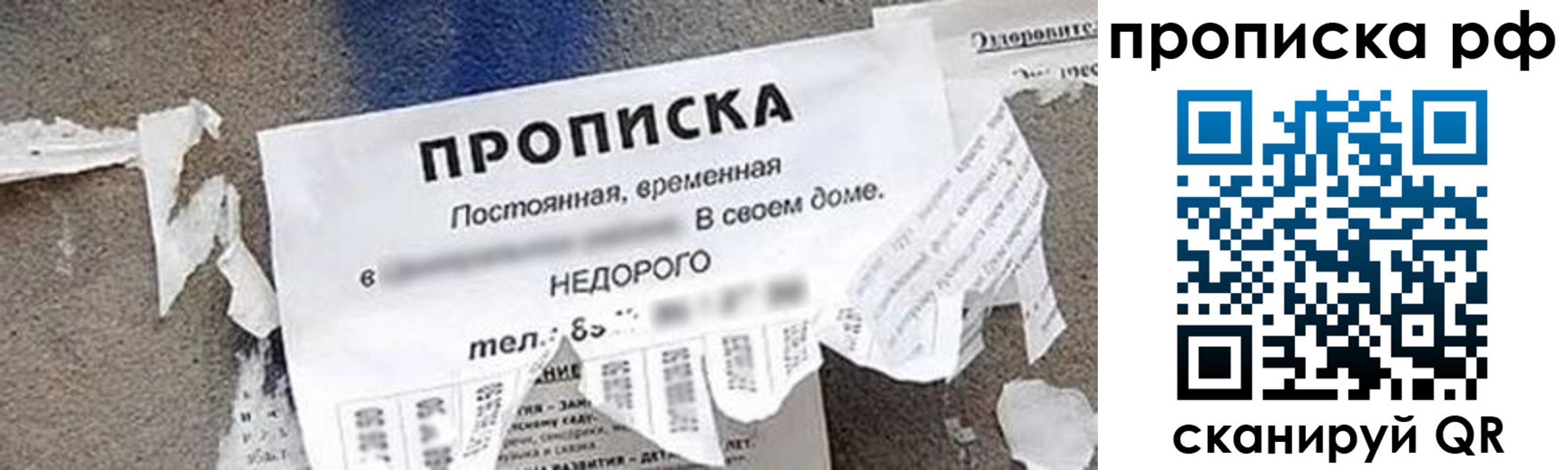 где прописаться в Стародубе